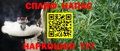 СК Канаш