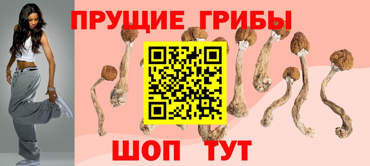 Кохма  Галлюциногенные грибы Cubensis  Вход с VPN  Псилоцибиновые грибы MAGIC MUSHROOMS 